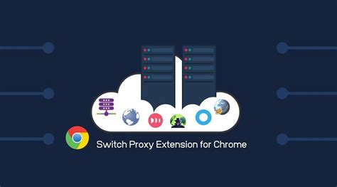 auto switch proxy.